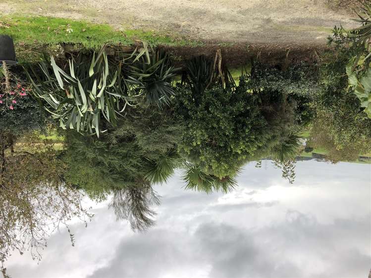 2990 Kaipara Coast Highway Glorit_14