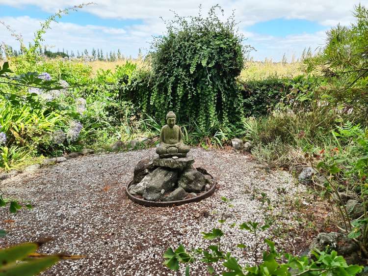 374 Rawhiti Road Te Aroha_20