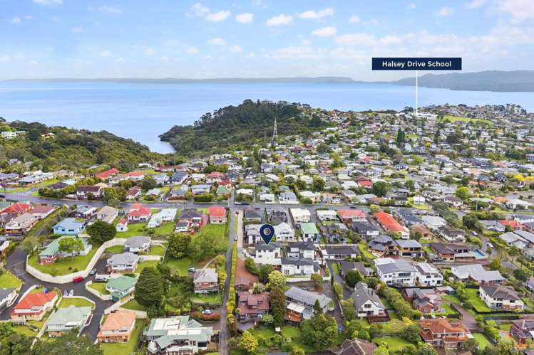 535A Hillsborough Road Mt Roskill_21
