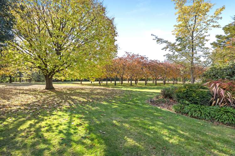 259 O'Roarkes Road_4