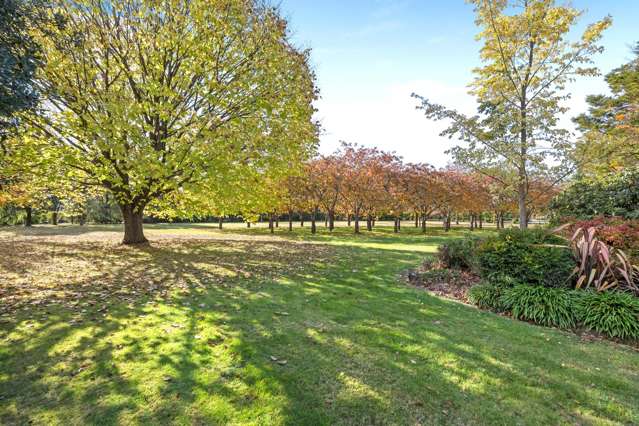 259 O'Roarkes Road Fernside_4