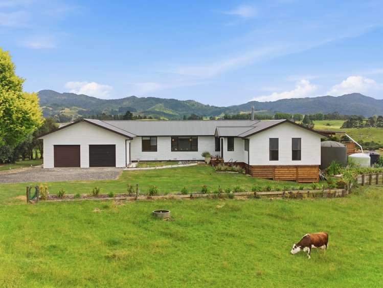 411 Pukekauri Road_3