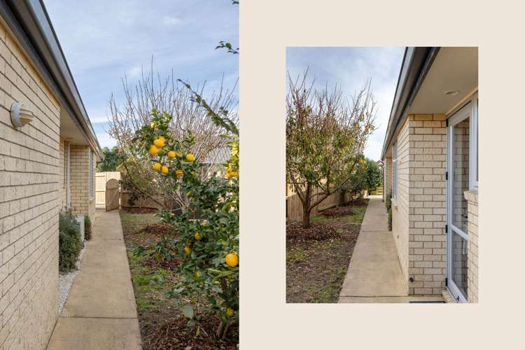 17 Golden Courie Close Papamoa_13