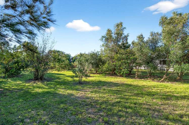 15a & 15b French Street Martinborough_11