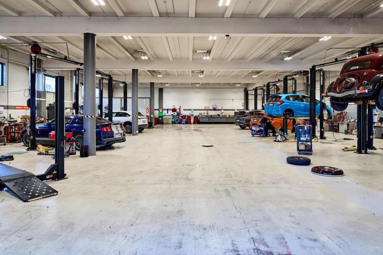 61 Kent Terrace Mt Victoria_8