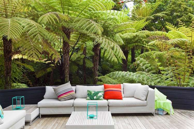 81 Braemar Road Castor Bay_17