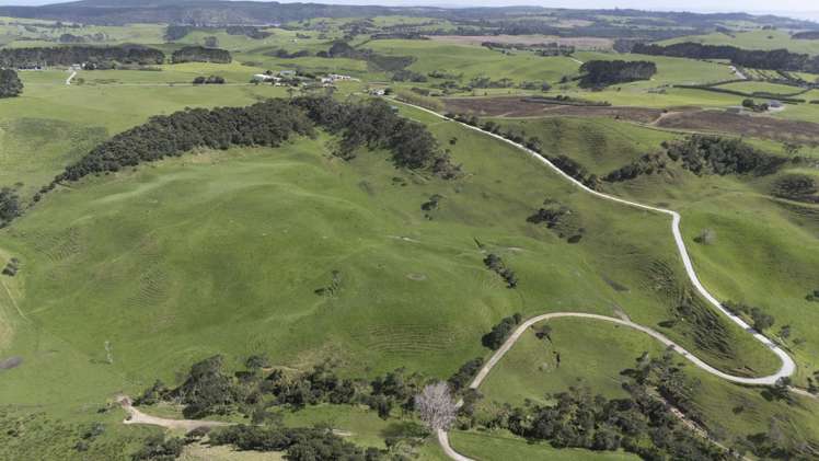 147 Fuller Road, South Head Helensville_6