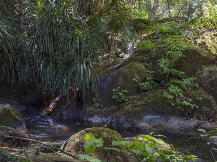 471 Crane Road Kauri_12