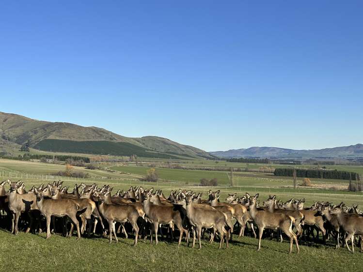 142 East Dome Station Road Lumsden Surrounds_6