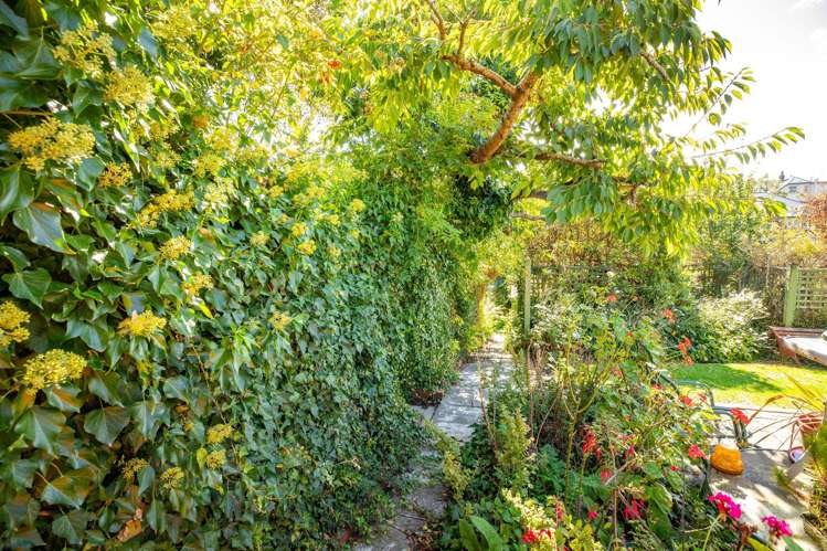 30 Beverley Hill Maori Hill_56