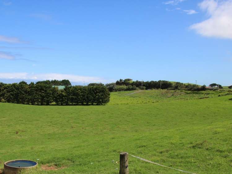 817 Baylys Coast Road Dargaville Surrounds_5