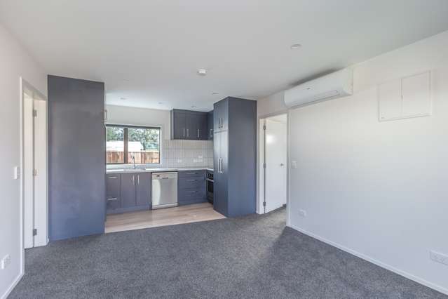 6a Seddon Street Levin_4