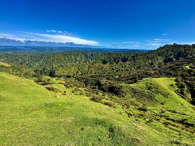 1371 Rangitatau East Road Brunswick_1