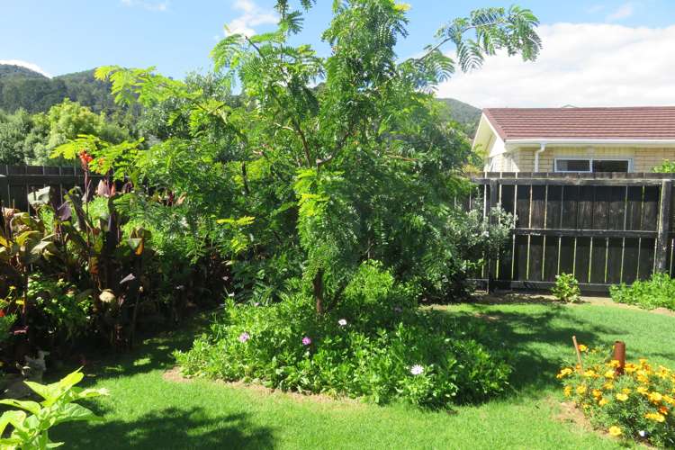 405 Ensor Street Thames_19