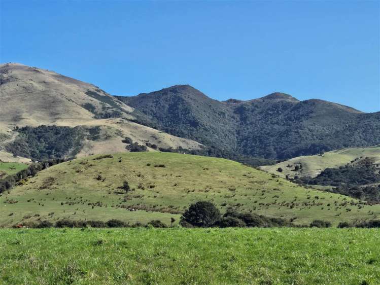 13/600 Conway Flat Road Cheviot_13