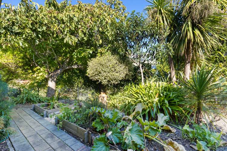 2/96 Nile Street Nelson City_17