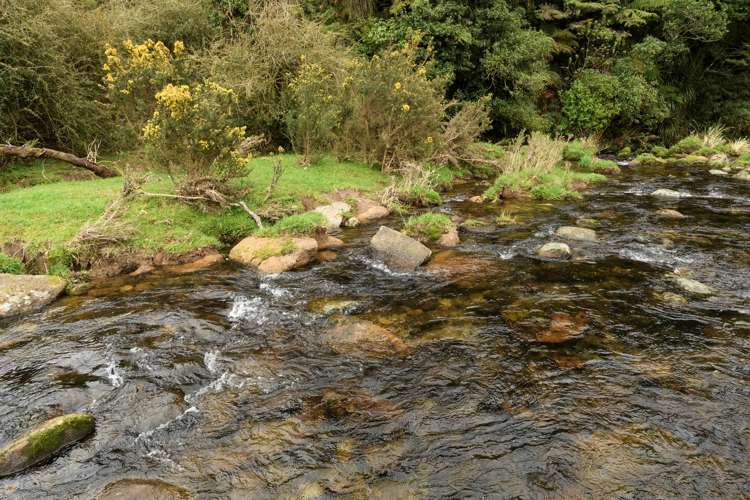 698d Whakamarama Road Whakamarama_20