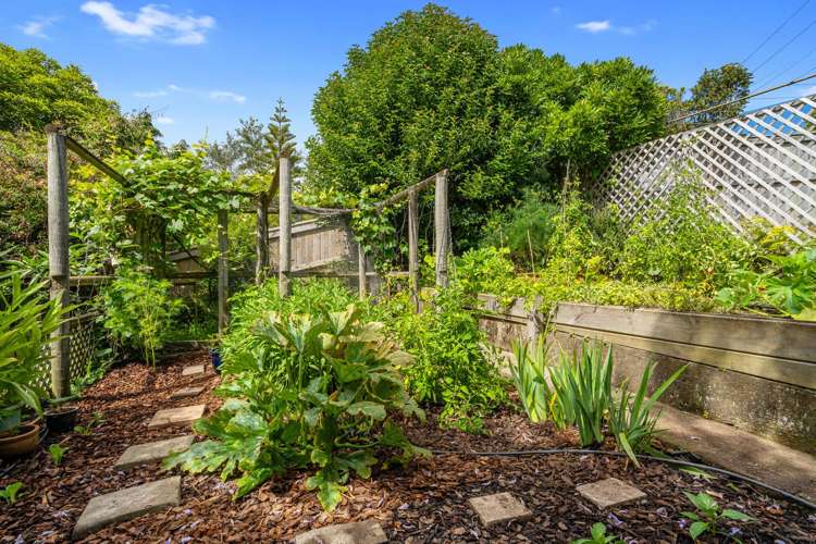 8 Thompson Terrace Toi Toi_5