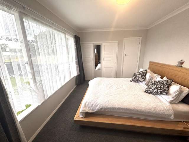 69 Trafalgar Street Levin_3
