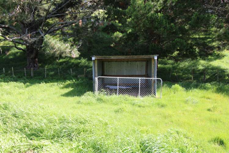 124 Union Street Foxton_18