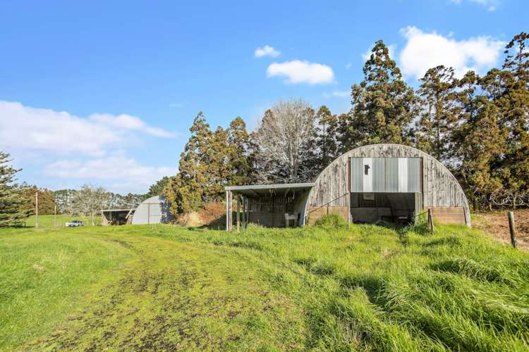 32 Hutchinson Road Helensville_9