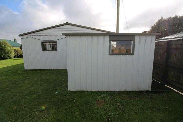 20 Ward Street Bulls_39