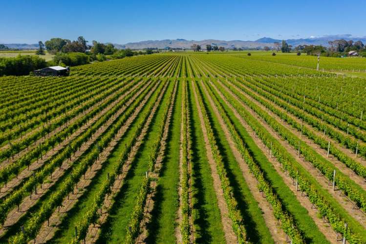 263 Chaytors Road Spring Creek_13