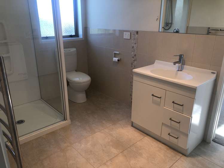 166e Postman Road Dairy Flat_22