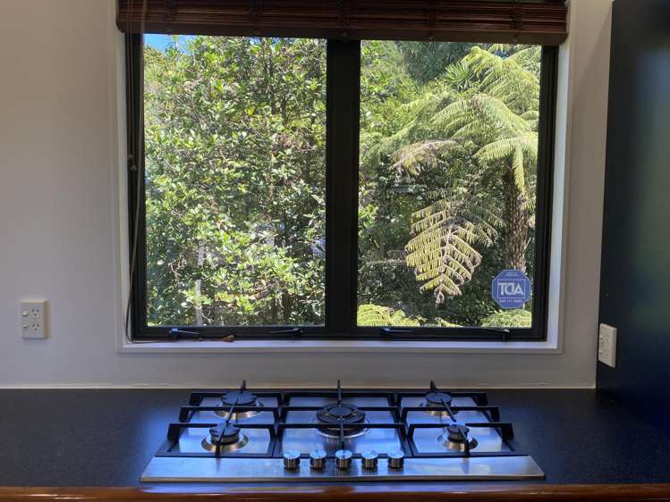 47 Kohu Road Titirangi_5