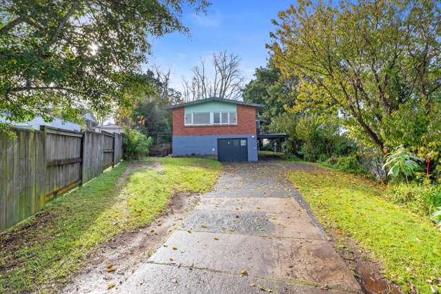 Renovator’s Dream