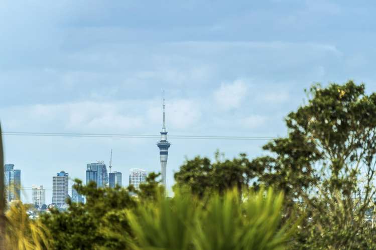 4/31 Tiroroa Avenue Te Atatu South_12