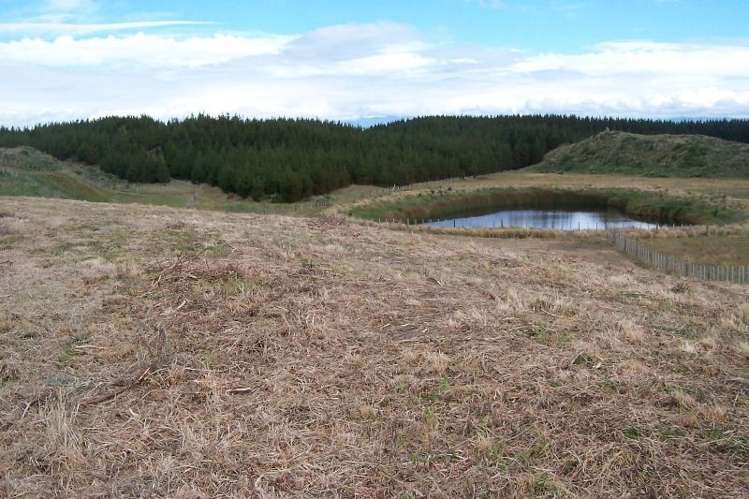 78 Waitarere Rise Avenue Waitarere_5