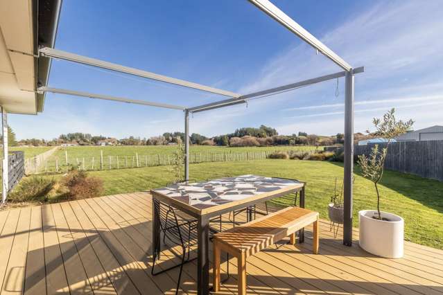 39 George Street Bulls_1