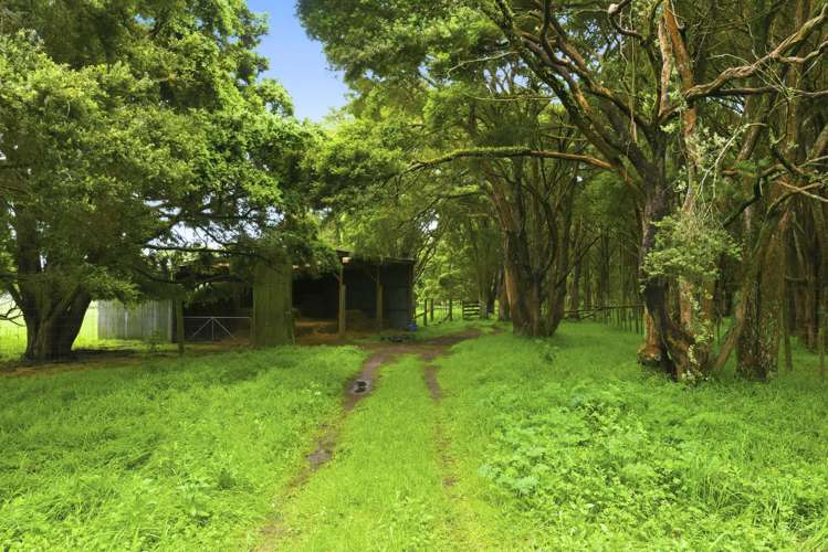 81 Muhunoa West Road Ohau_33