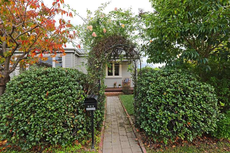 1/903 Lyell Street Akina_13