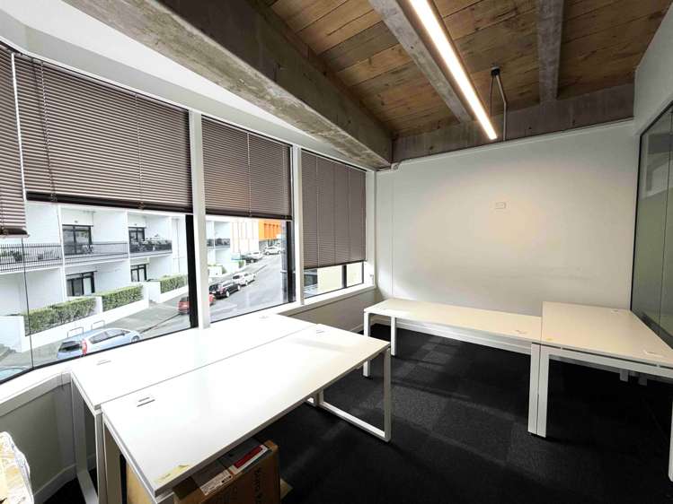 22 Dundonald Street Eden Terrace_9