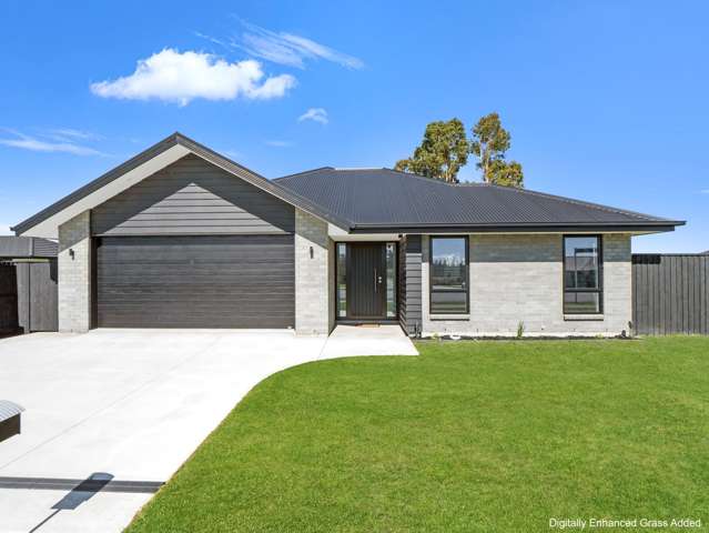 Darfield Dream, 4 Bed, Near-New, & 1007m2 Section!