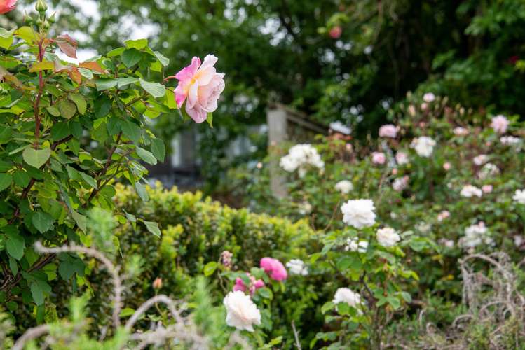 37 Mcmillan Place Mellons Bay_23