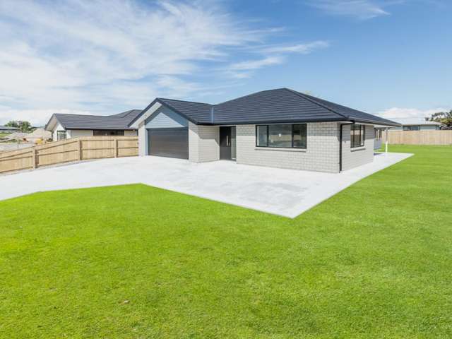 44 Nancy Avenue Feilding_1