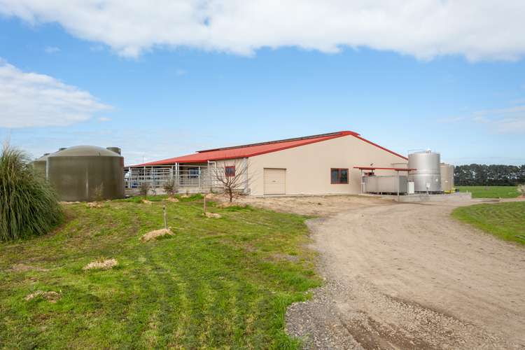 227 Endowment Road Te Aroha_7