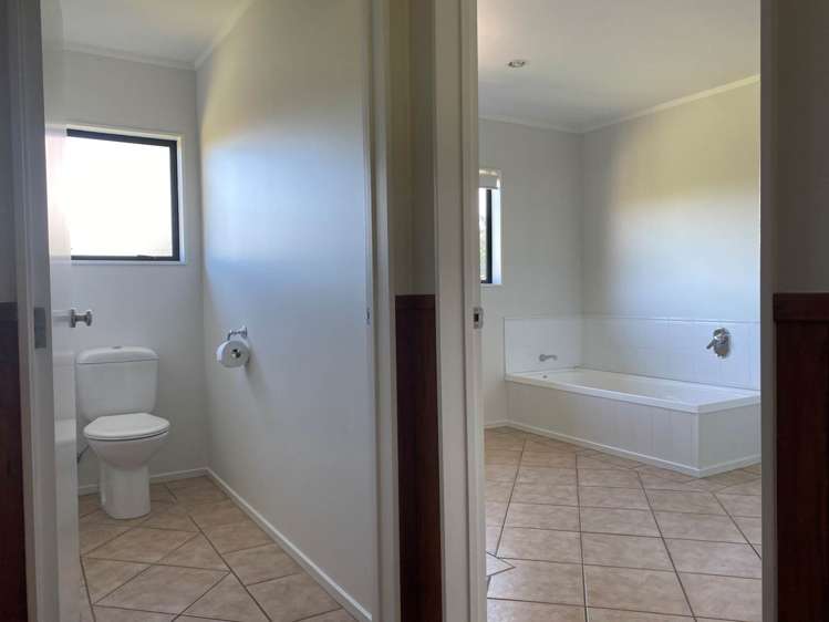 253 Kahikatea Flat Road Dairy Flat_10