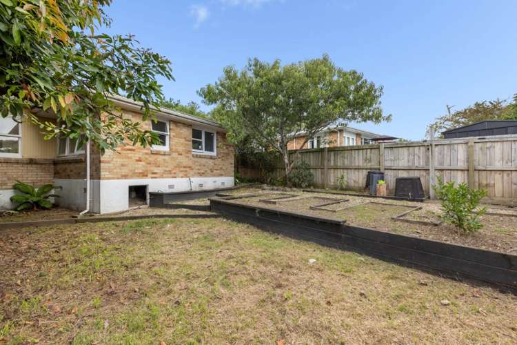 31 Harrier Street Parkvale_16