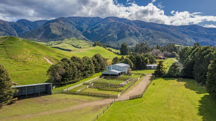 463 Gull Flat Road_0