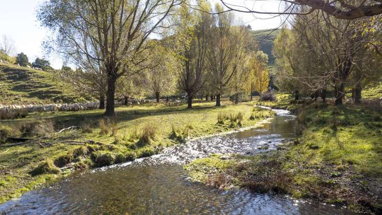 72 Te Hau Road Masterton_14