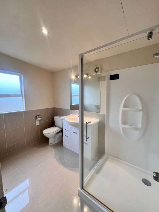 368 Chapel Road Flat Bush_2