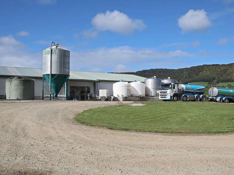 380 Matheson Road Catlins Surrounds_8