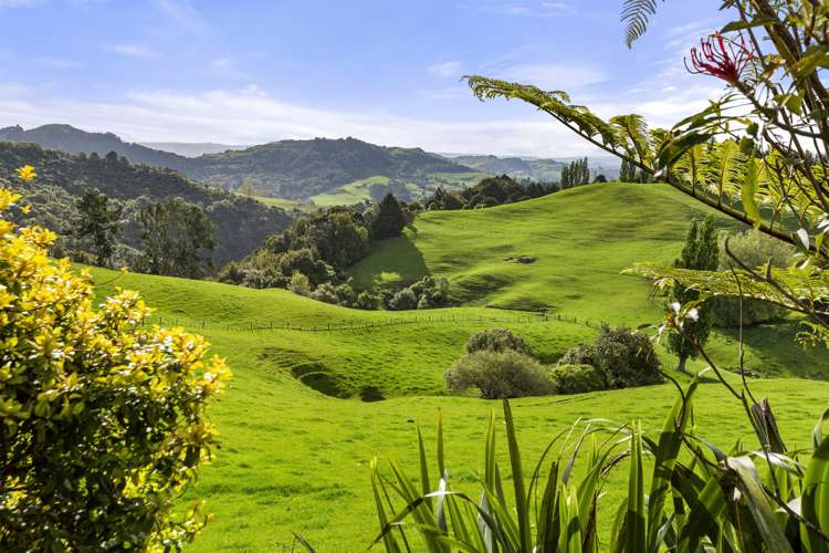 160a Tate Road Te Kuiti_11