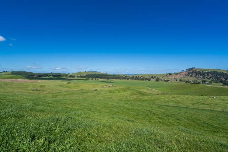 658 Tukairangi Road Kinloch_13