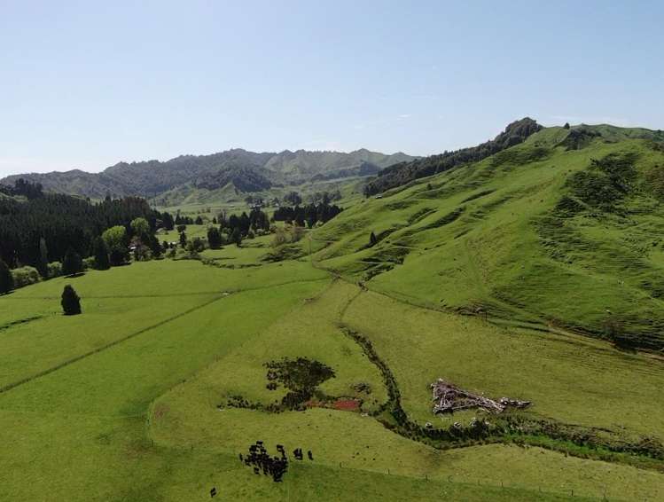 167 Whenuakura Road Waimiha-Ongarue_22