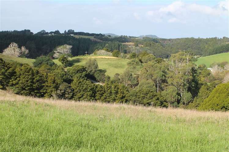 Taraunui Road Parua Bay_10